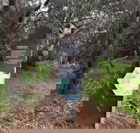 Horseshoe Lagoon Reserve - 1 Gold Coast