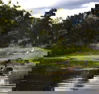 Hunter Wetlands Centre - Gold Coast 4U