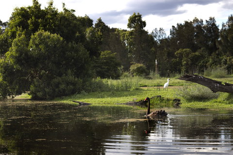 Hunter Wetlands Centre - 1 Gold Coast 0