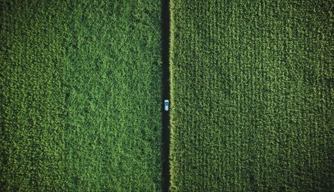 Ingham - 1 Gold Coast 2