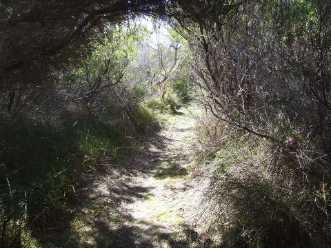 Jack And Hilda McArthur Walk - Accommodation Gold Coast 0