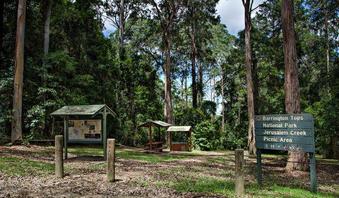 Jerusalem Creek Picnic Area - Gold Coast 4U 0