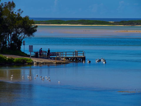 Kayaking Tuross Lake - Accommodation Gold Coast 1