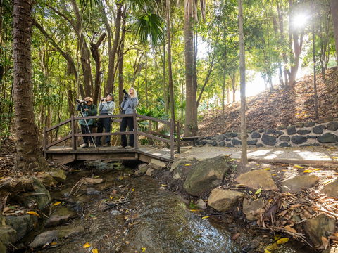 Kholo Gardens Trails - Accommodation Gold Coast 1