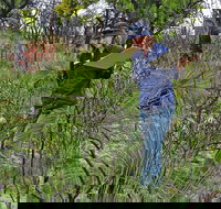 Lake Monjingup - Accommodation Gold Coast