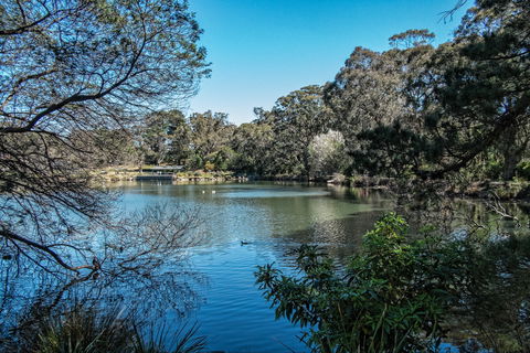 Lake Alexandra Reserve - 1 Gold Coast 1