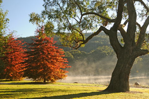 Lake Alexandra Reserve - 1 Gold Coast 2
