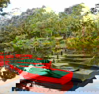 Lane Cove National Park - Accommodation Gold Coast