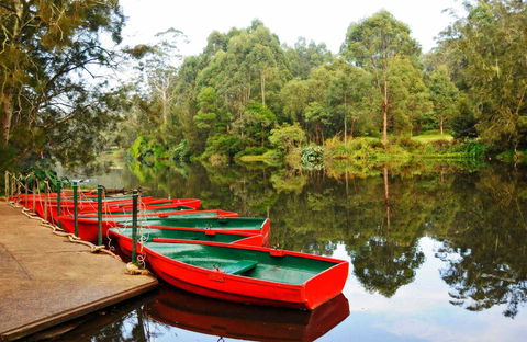 Lane Cove National Park - 1 Gold Coast 0