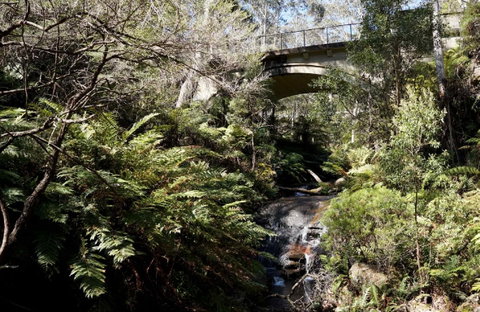 Leura Cascades - Accommodation Gold Coast 2