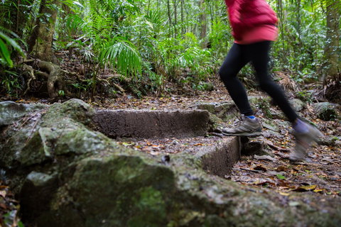 Maiala - Accommodation Gold Coast 0