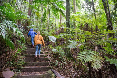 Maiala - Accommodation Gold Coast 1