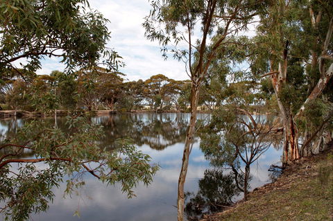 Merredin Railway Dam - Accommodation Gold Coast 0