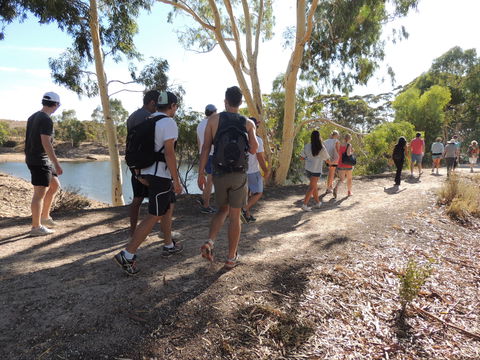 Merredin Railway Dam - Accommodation Gold Coast 1
