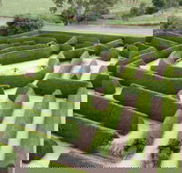 Mintaro Maze - Accommodation Gold Coast