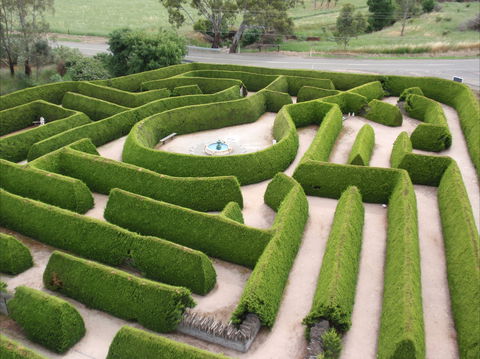 Mintaro Maze - 1 Gold Coast 0