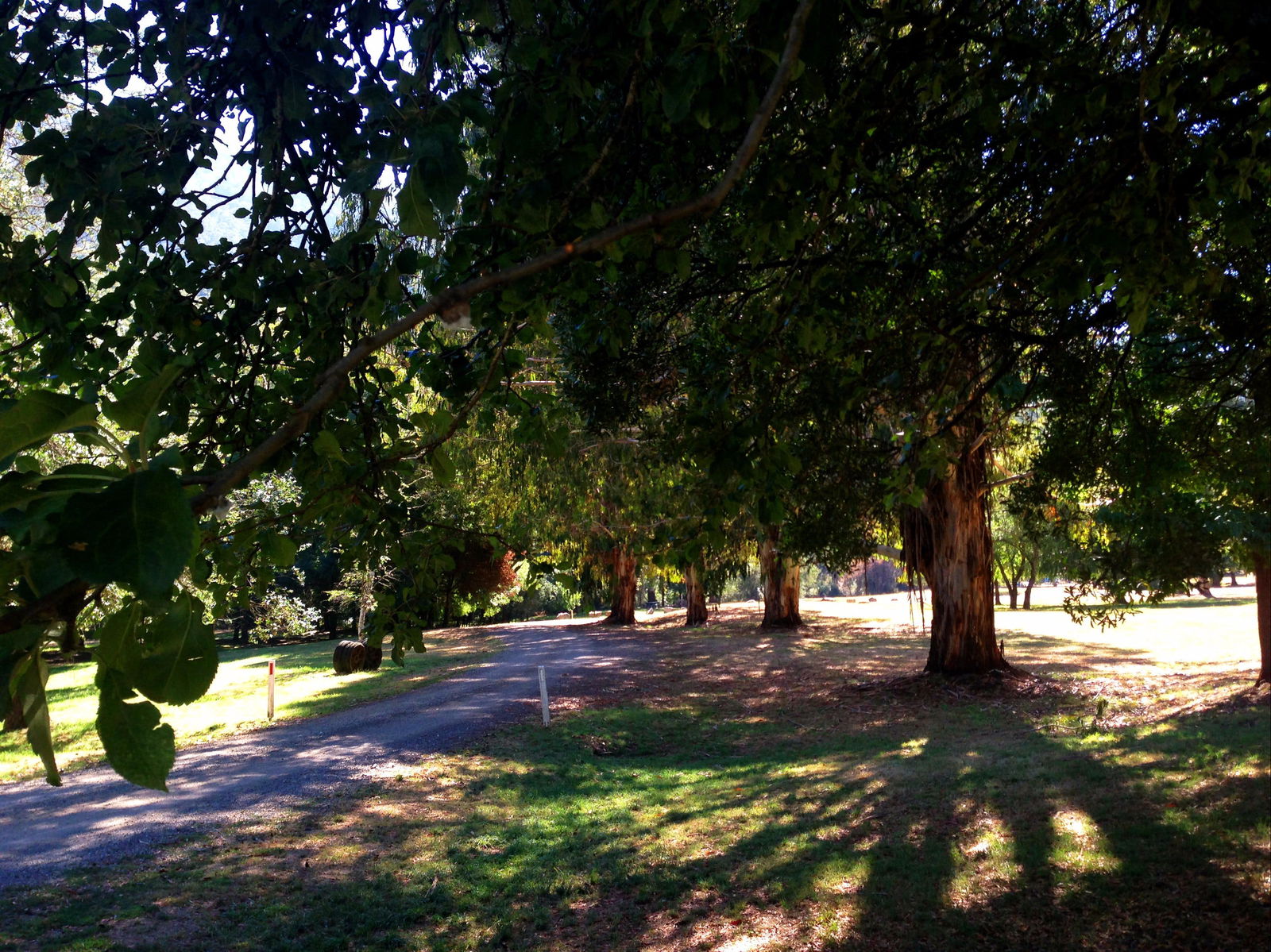 Mirimbah VIC Accommodation Gold Coast