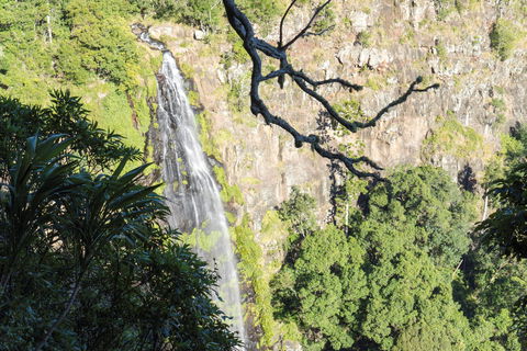 Morans Falls Track, Lamington National Park - Accommodation Gold Coast 0