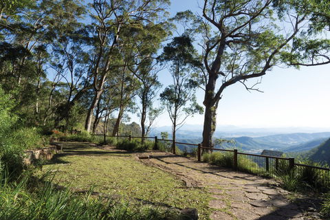 Morans Falls Track, Lamington National Park - Accommodation Gold Coast 1