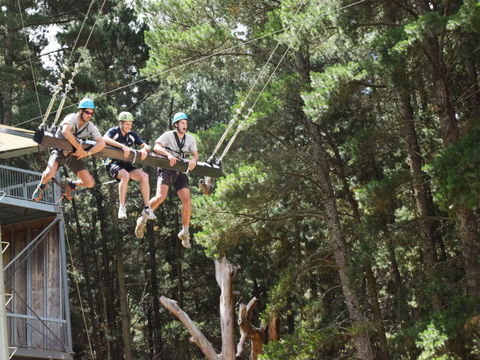 Mount Lofty Adventure Hub - 1 Gold Coast 1