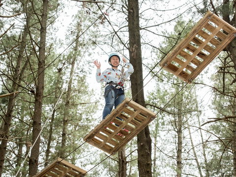 Mount Lofty Adventure Hub - 1 Gold Coast 2