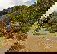 Mountain Biking Trails - Accommodation Gold Coast