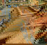 Mountain Maid gold mine - Accommodation Gold Coast