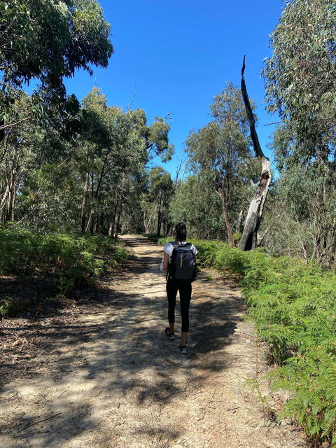 Mt Everard Circuit - Accommodation Gold Coast 0