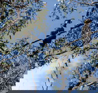 Mummel Gulf National Park - 1 Gold Coast