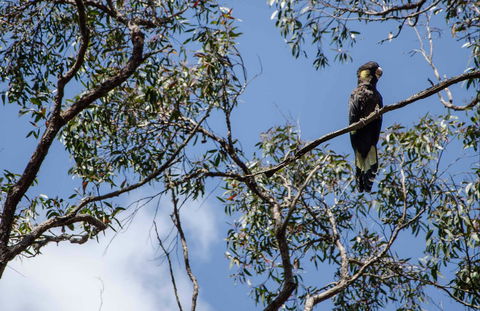 Mummel Gulf National Park - Accommodation Gold Coast 0