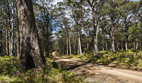 Mummel Gulf National Park - Accommodation Gold Coast 1