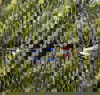 Murray River canoe trails - 1 Gold Coast