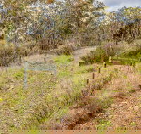 Old Mountain Road Walking Track - Accommodation Gold Coast