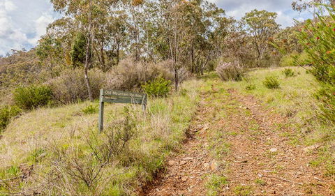 Old Mountain Road Walking Track - Accommodation Gold Coast 0