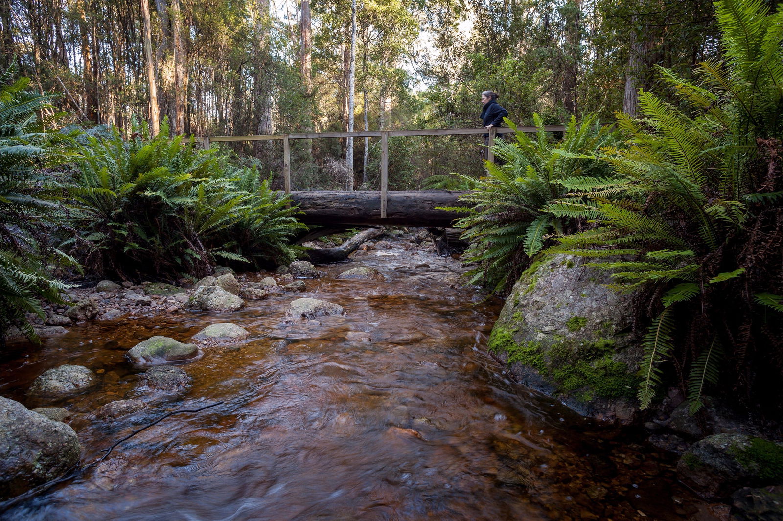 Gowrie Park TAS Accommodation Gold Coast