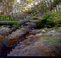 O'Neills Creek picnic reserve - Accommodation Gold Coast