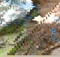 Pilliga National Park - Accommodation Gold Coast