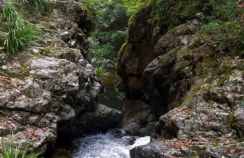 Potoroo Falls Walk - Accommodation Gold Coast 0