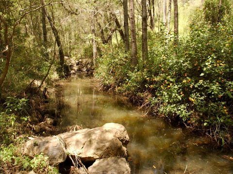 Sandy Creek Track - Accommodation Gold Coast 0