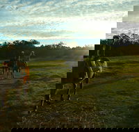 Scenic NSW Horse Riding Centre - Accommodation Gold Coast