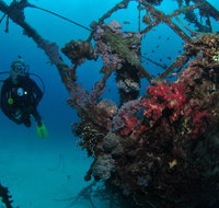 Severance Shipwreck Dive Site - Accommodation Gold Coast