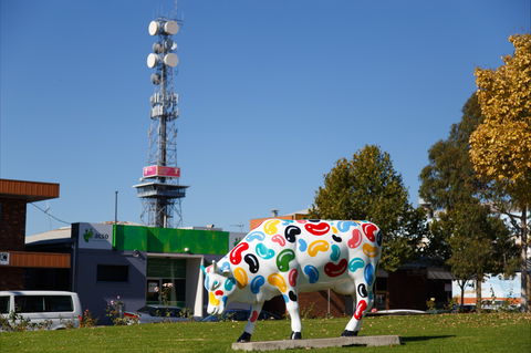 Shepparton Tower - Accommodation Gold Coast 1