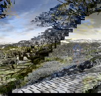 Snow Gums boardwalk - Accommodation Gold Coast