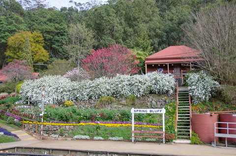 Spring Bluff Railway Station - 1 Gold Coast 1