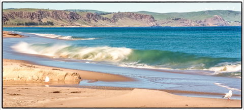 Starfish Hill Windfarm - Accommodation Gold Coast 0