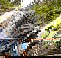 Steavenson Falls - Accommodation Gold Coast