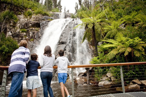 Steavenson Falls - Accommodation Gold Coast 0