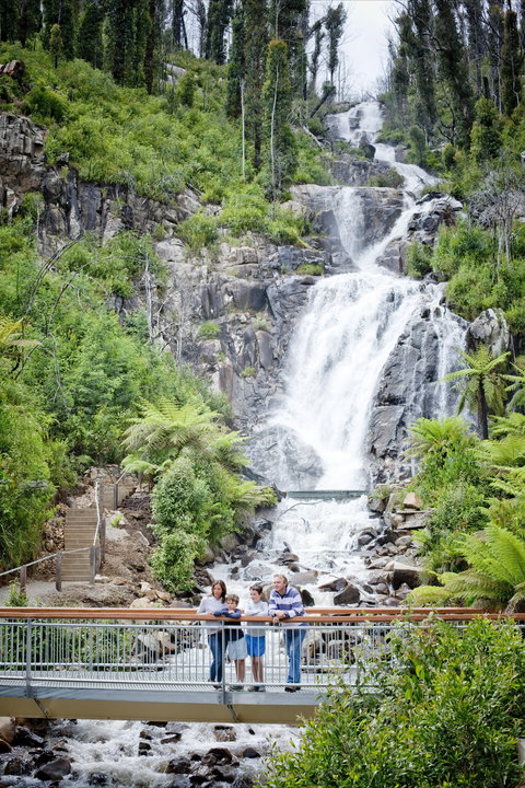Steavenson Falls - Accommodation Gold Coast 2