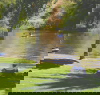The Lions Junction Park - Tumut - Accommodation Gold Coast