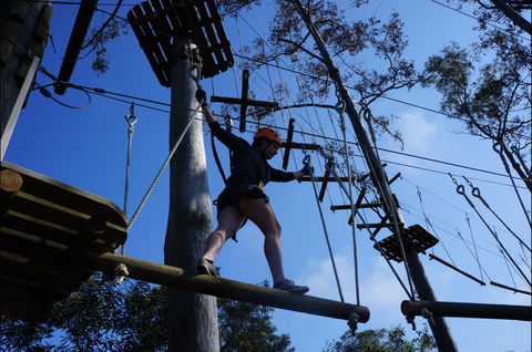 Trees Adventure Nowra Park - Gold Coast 4U 0